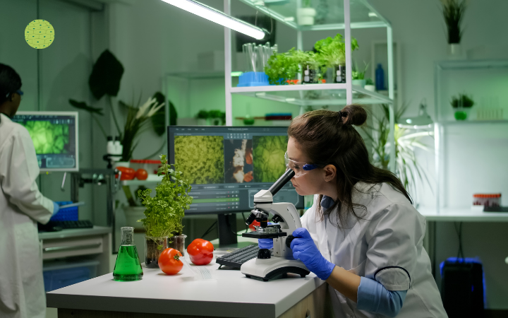 Plant tissue culture illustration